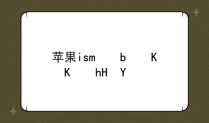 苹果iso是什么意思