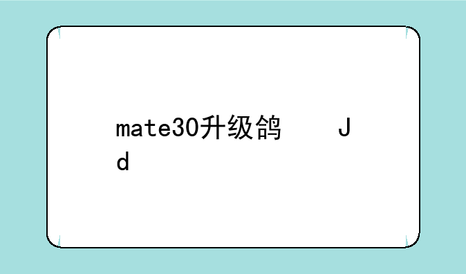 mate30升级鸿蒙212版本好用吗？