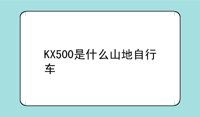 KX500是什么山地自行车