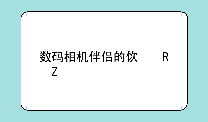 数码相机伴侣的使用方法