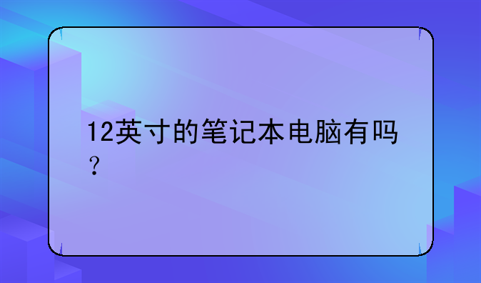 12英寸的笔记本电脑有吗？
