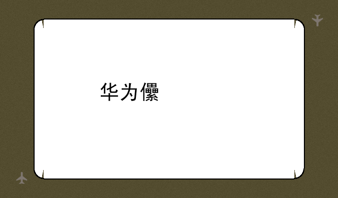 华为儿童手表4x隐藏功能？