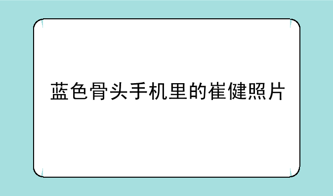 蓝色骨头手机里的崔健照片