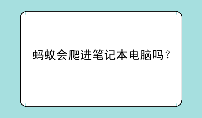 蚂蚁会爬进笔记本电脑吗？
