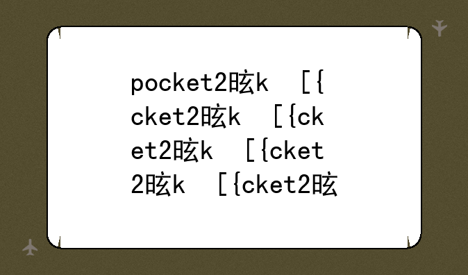 pocket2是什么？