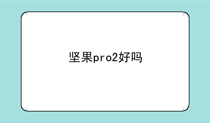 坚果pro2好吗