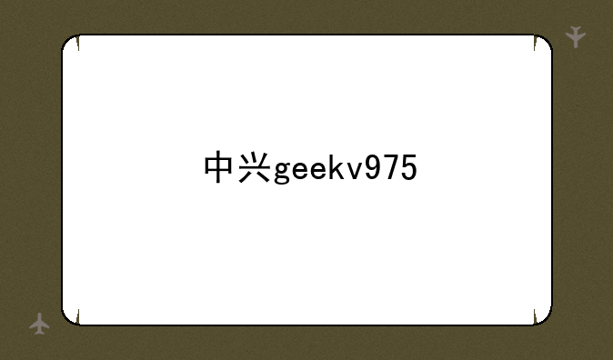 中兴geekv975