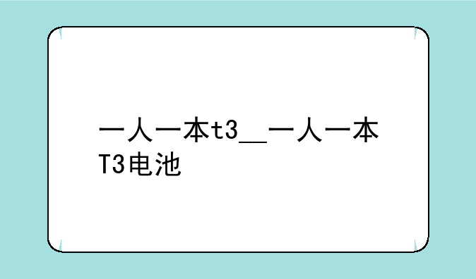 一人一本t3__一人一本T3电池