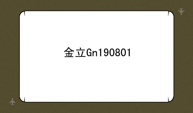 金立Gn190801
